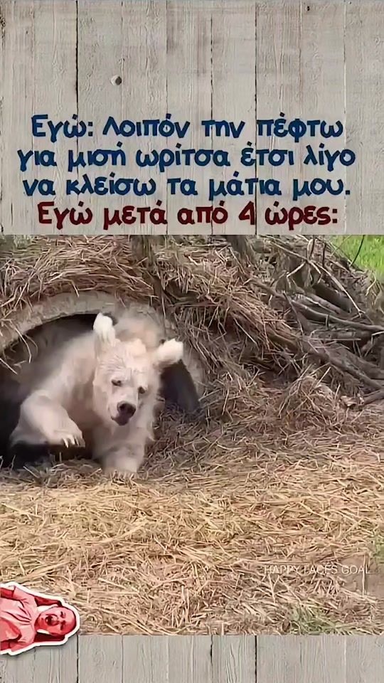 TikTok video thumbnail by hysteria_gr