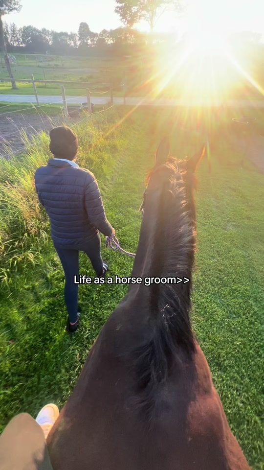 TikTok video thumbnail by equestsoff