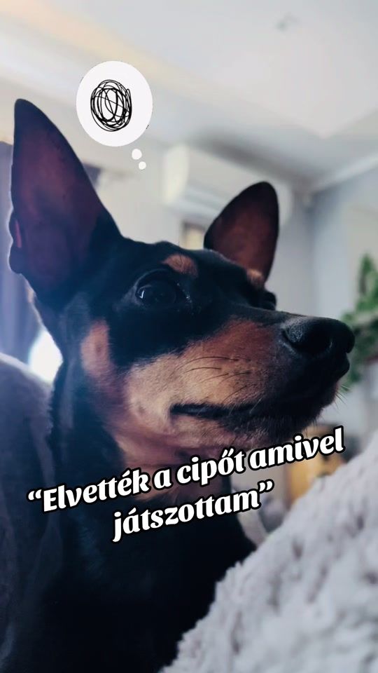 TikTok video thumbnail by ropitheminpin
