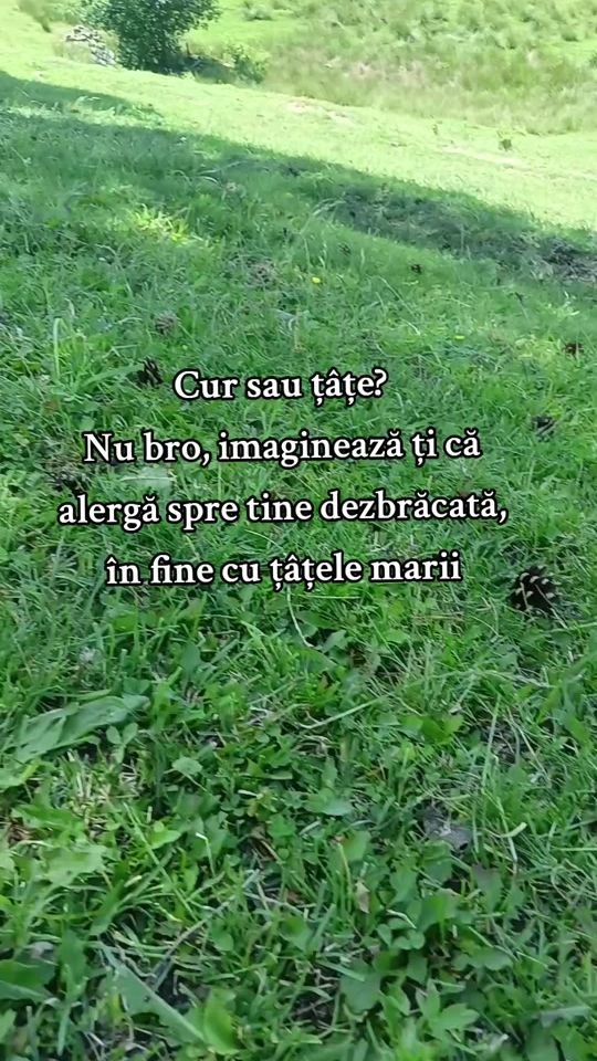 TikTok video thumbnail by marius__adelin