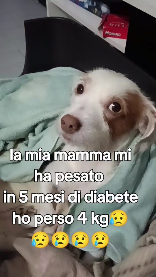 TikTok video thumbnail by kikipamy