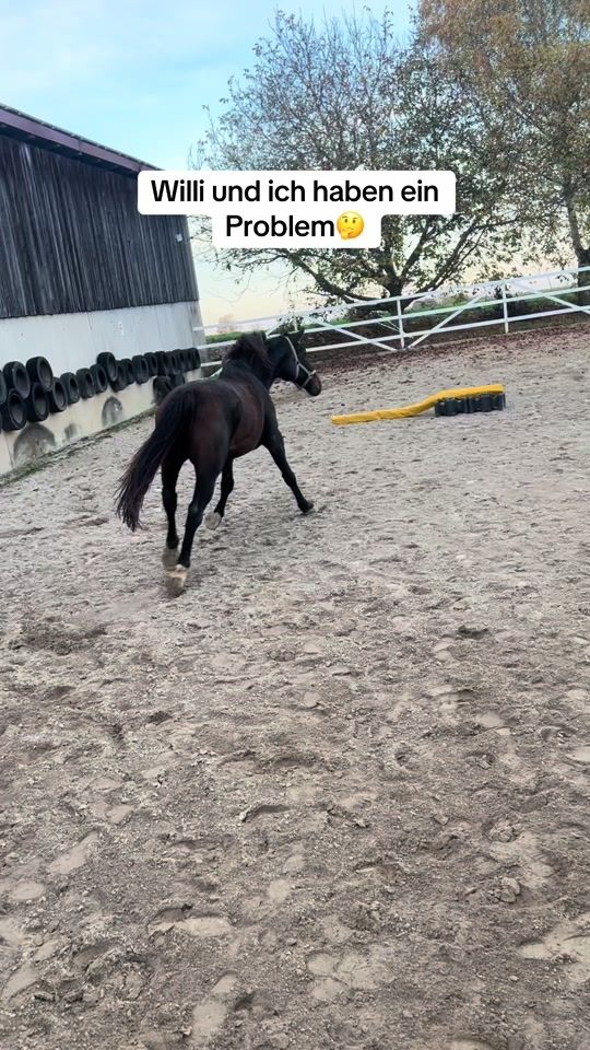 TikTok video thumbnail by melli_und_willi