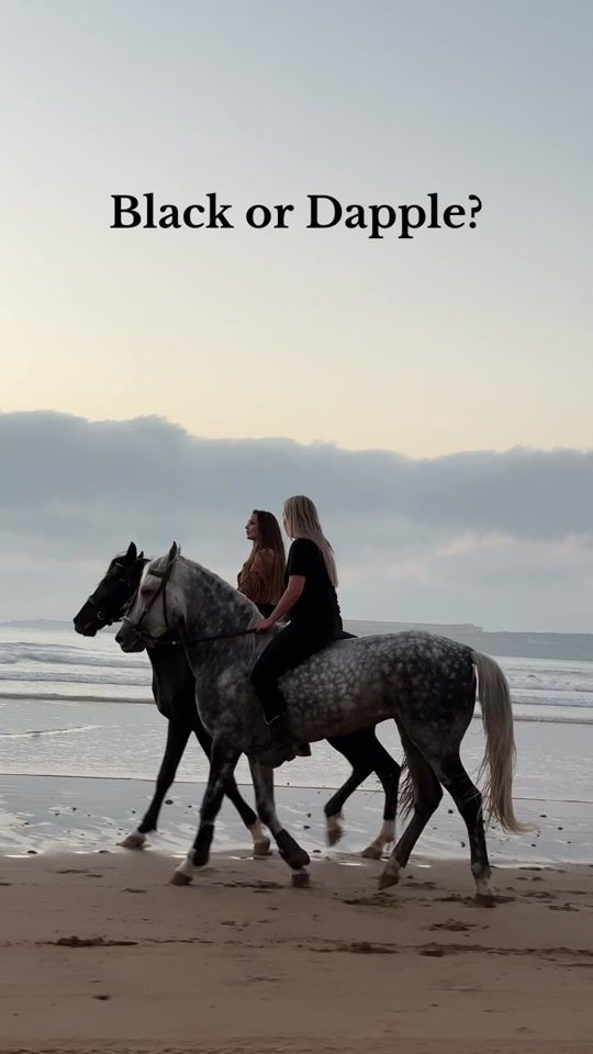 TikTok video thumbnail by essaouira_river_ranch