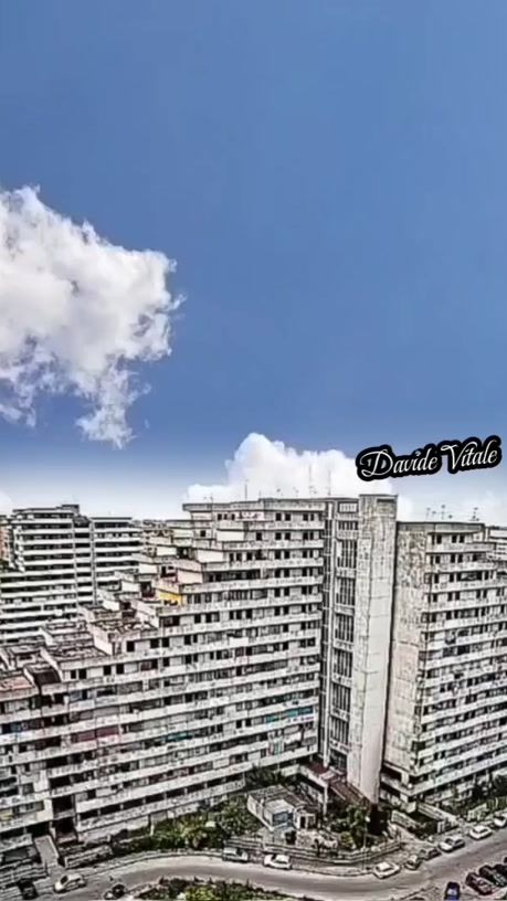 TikTok video thumbnail by davidevitale1984