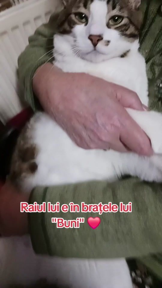 TikTok video thumbnail by nowandthen82