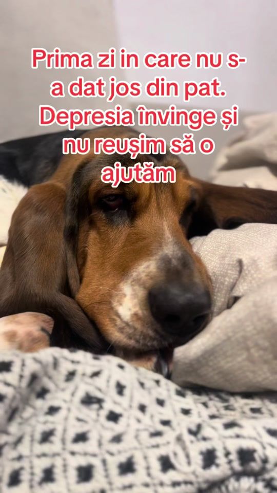TikTok video thumbnail by cateluldepresiv