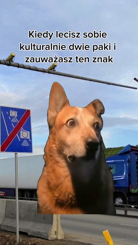 TikTok video thumbnail by krzyhoo