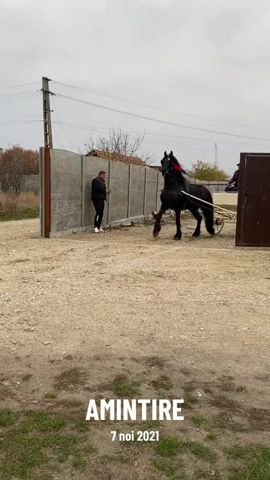 TikTok video thumbnail by and3ei05