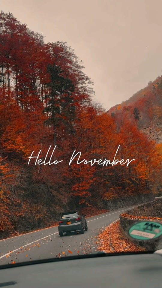 TikTok video thumbnail by user1619572720332