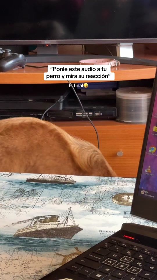TikTok video thumbnail by mire_0_0_