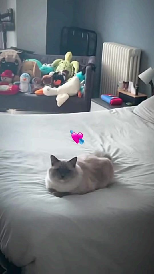 TikTok video thumbnail by luke_e_demi