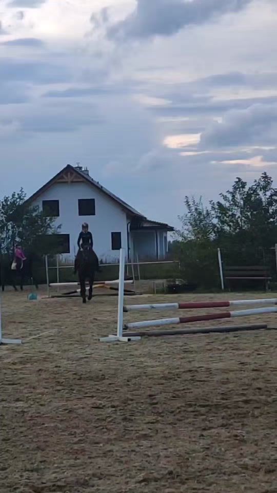 TikTok video thumbnail by _mimi_equestrian_
