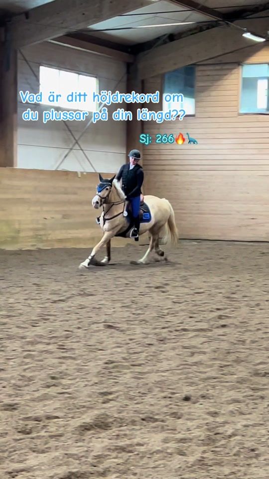 TikTok video thumbnail by equi._.alva2