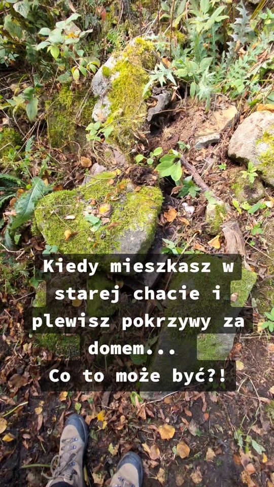 TikTok video thumbnail by publikacja