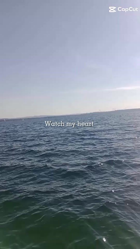 TikTok video thumbnail by sofie._.088