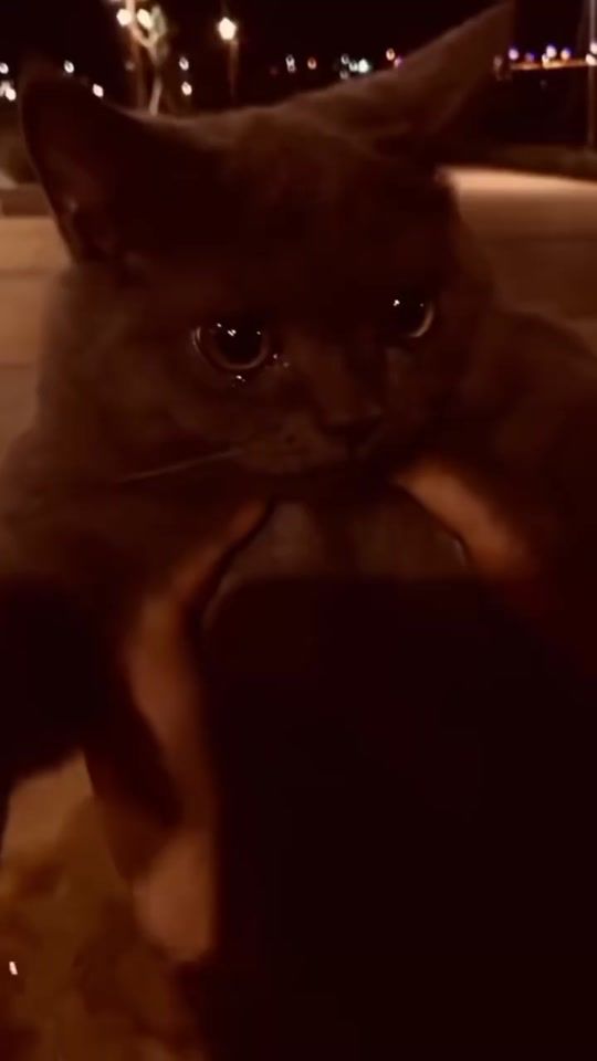 TikTok video thumbnail by jacknbn7