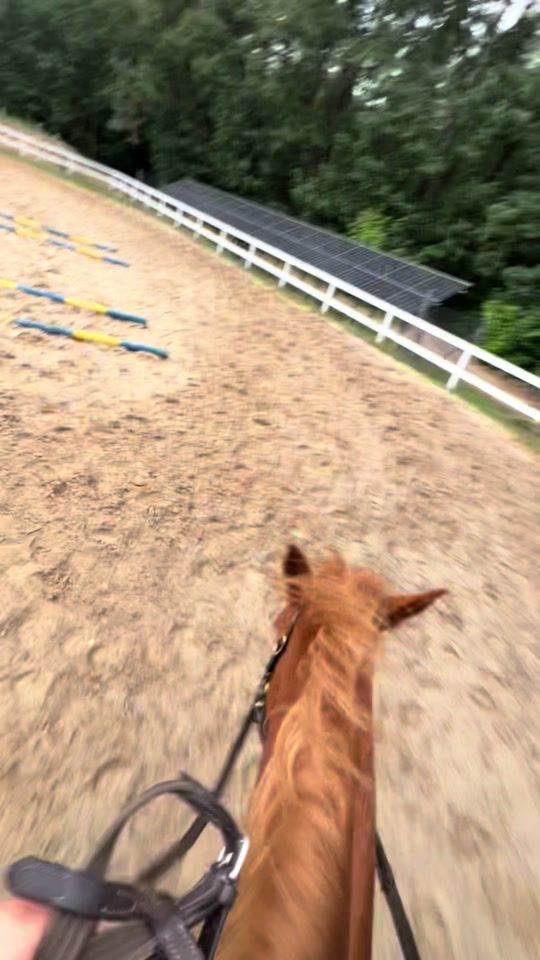 TikTok video thumbnail by _rude67sunie_