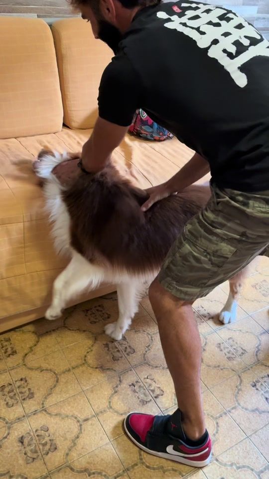 TikTok video thumbnail by reeftheaussie
