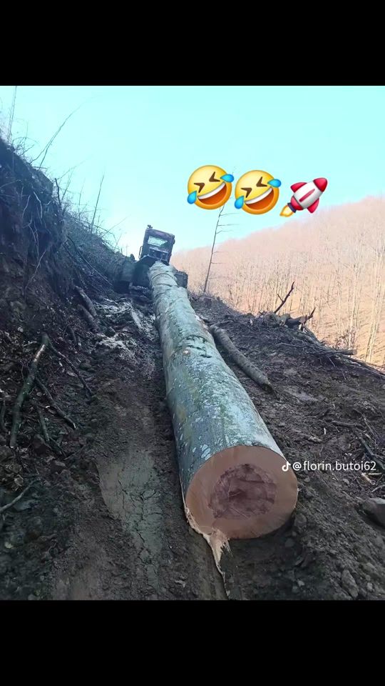 TikTok video thumbnail by mcf_marius7080