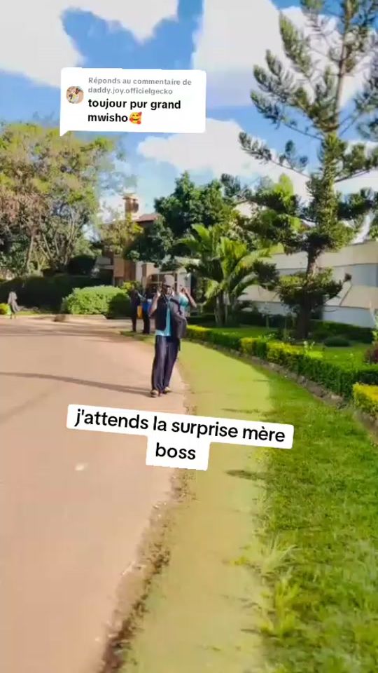 TikTok video thumbnail by nalliance2