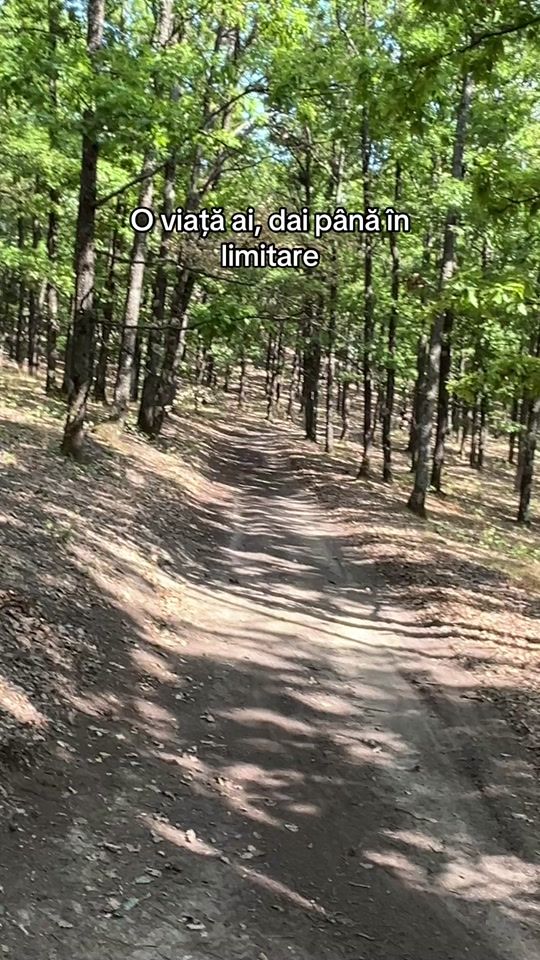 TikTok video thumbnail by claudiu.tavoc