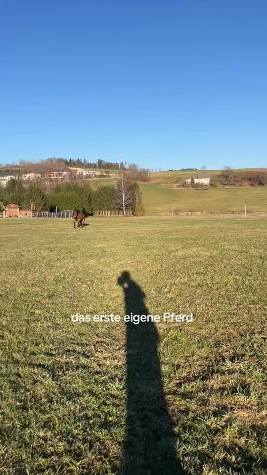 TikTok video thumbnail by lea_s_h