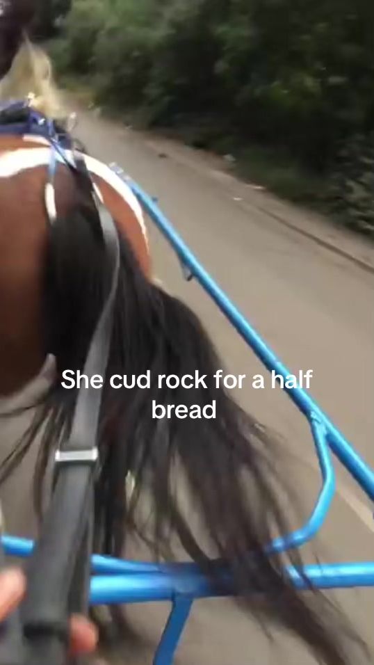 TikTok video thumbnail by ajp12345656