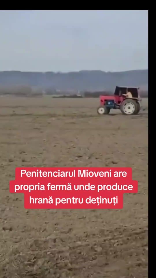 TikTok video thumbnail by florin.stoica.jurnalist