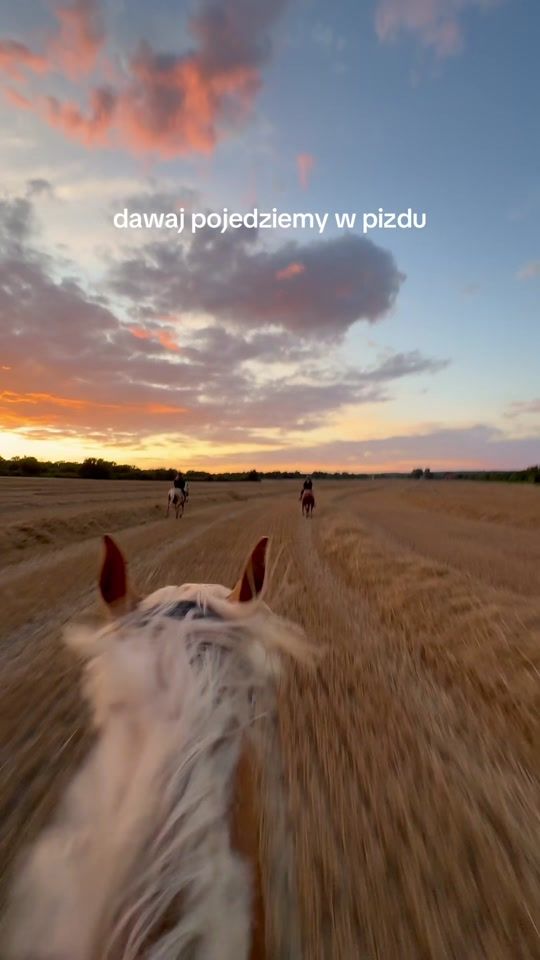 TikTok video thumbnail by drobna.equestrian