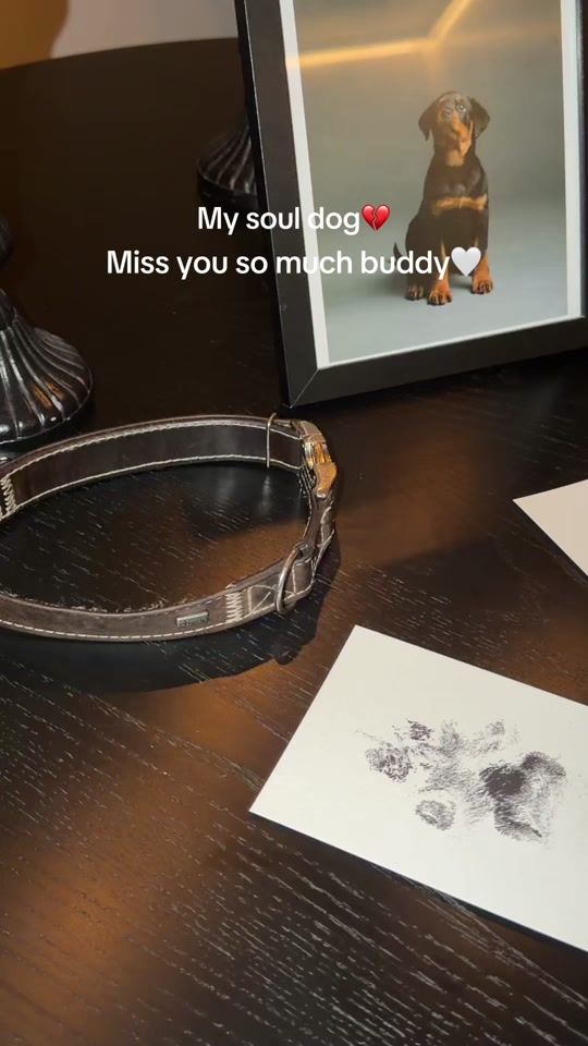TikTok video thumbnail by aripaivarinta