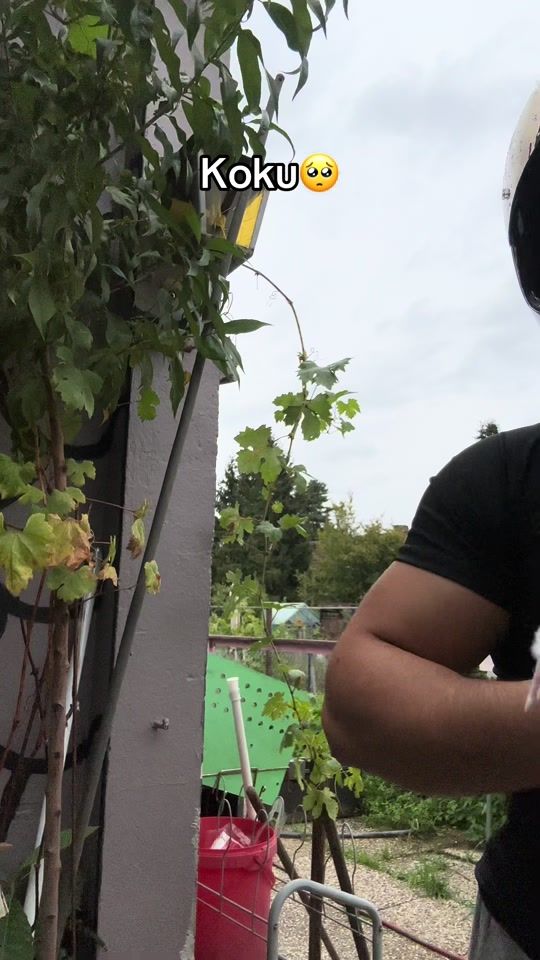 TikTok video thumbnail by 963.r6