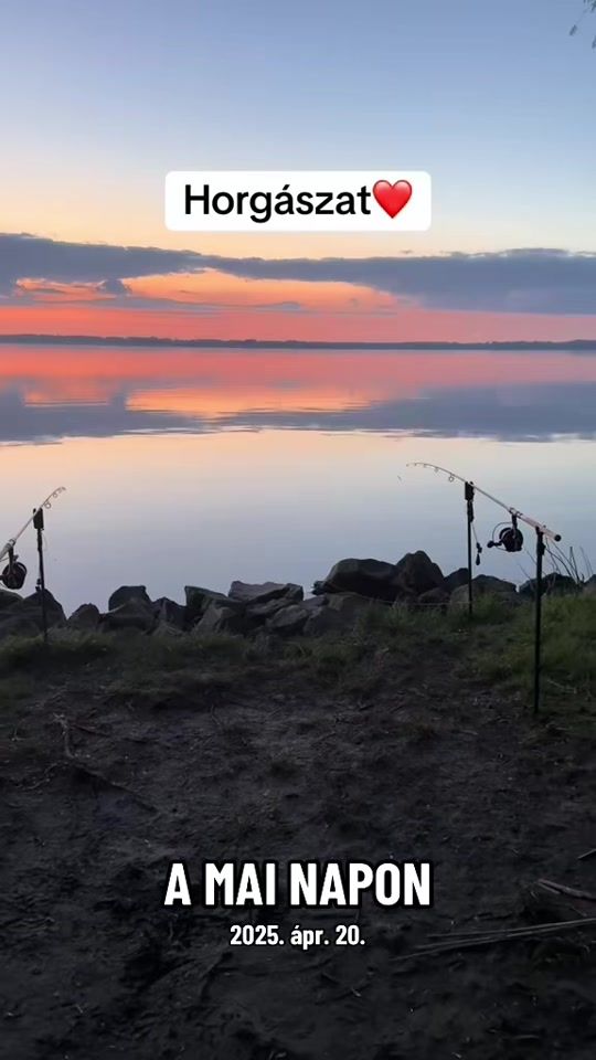 TikTok video thumbnail by robincarpfishing