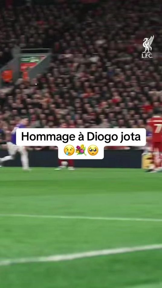 TikTok video thumbnail by desjoueurs
