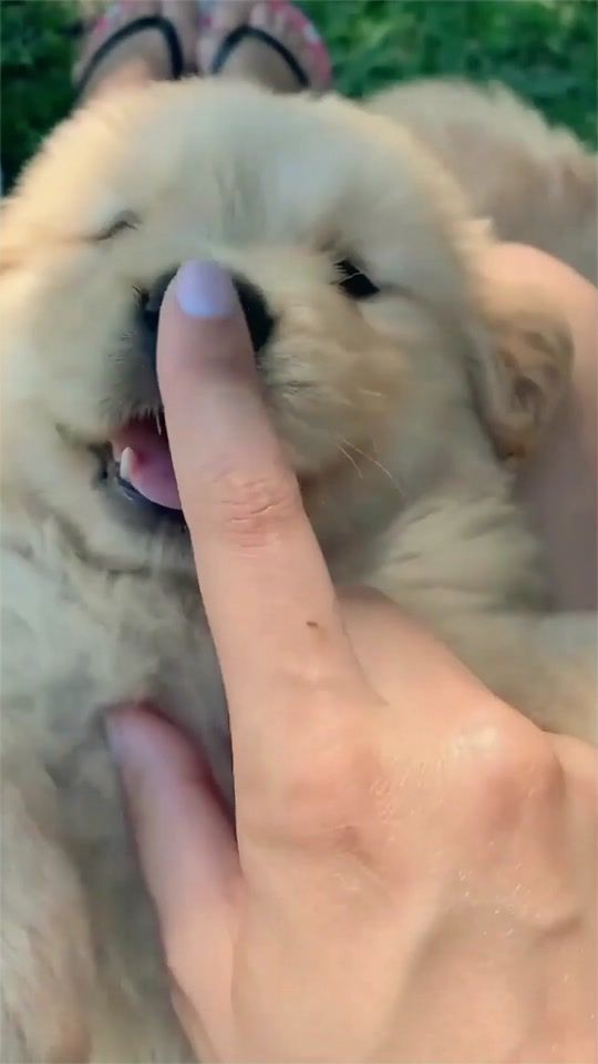 TikTok video thumbnail by bobomao1