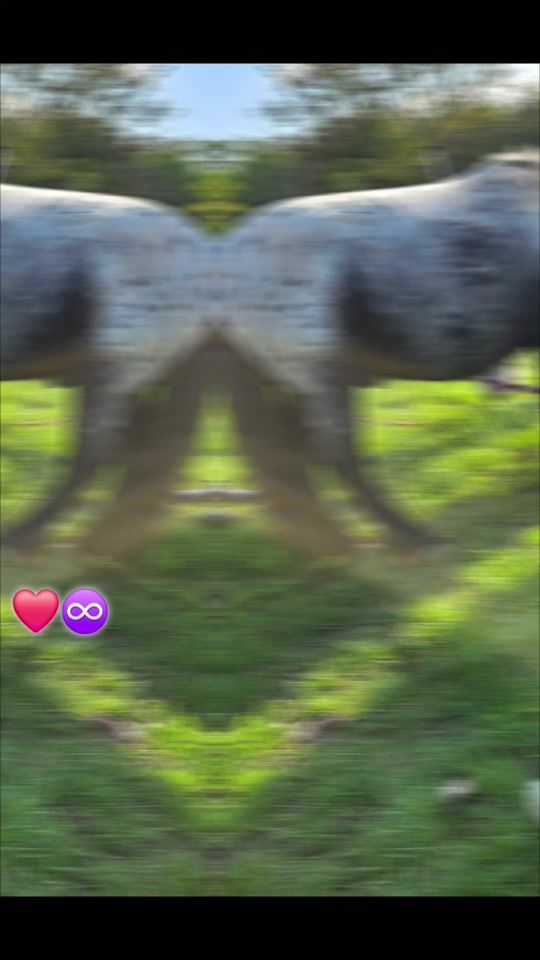 TikTok video thumbnail by dzonnyescobar69