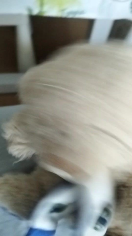 TikTok video thumbnail by dieguitoxz6