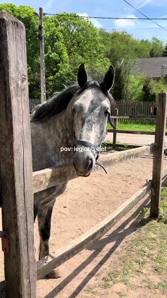TikTok video thumbnail by anna.godri