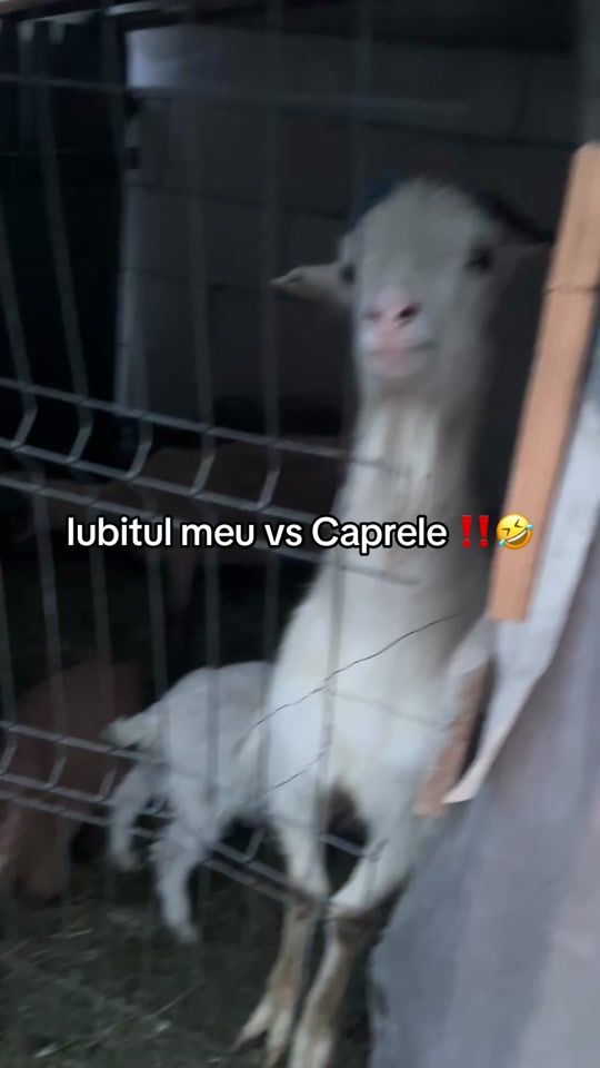 TikTok video thumbnail by de.nisa523