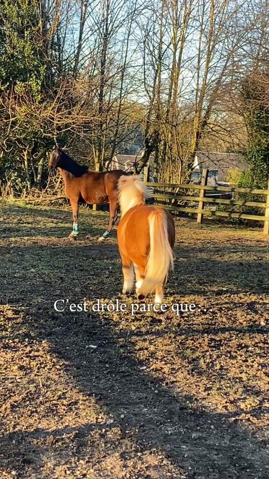 TikTok video thumbnail by lolajackson97