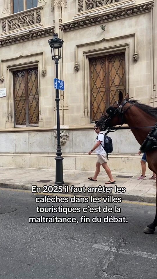 TikTok video thumbnail by user739049482