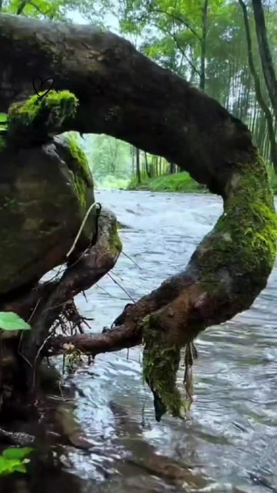 TikTok video thumbnail by .maggi123