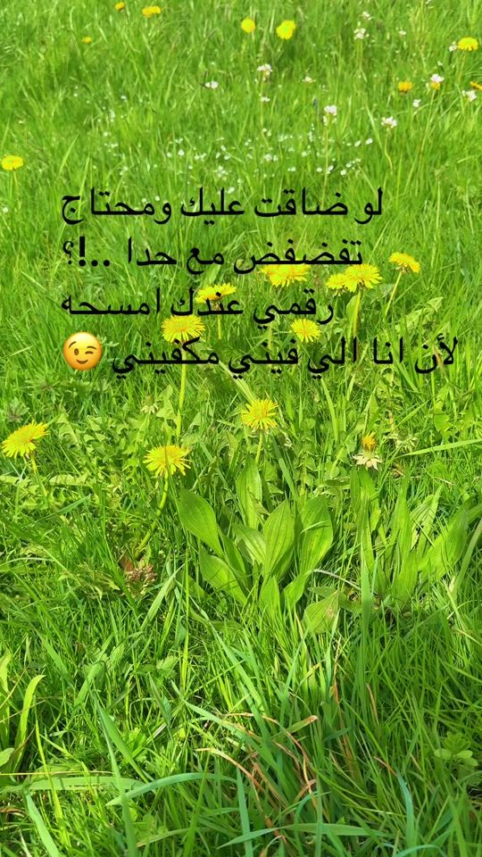 TikTok video thumbnail by rahafra396