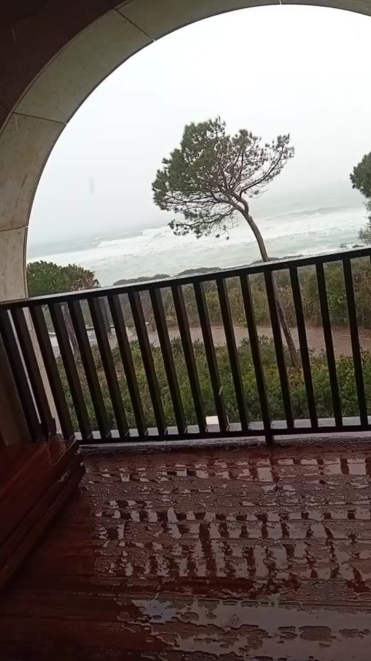TikTok video thumbnail by uligert7777