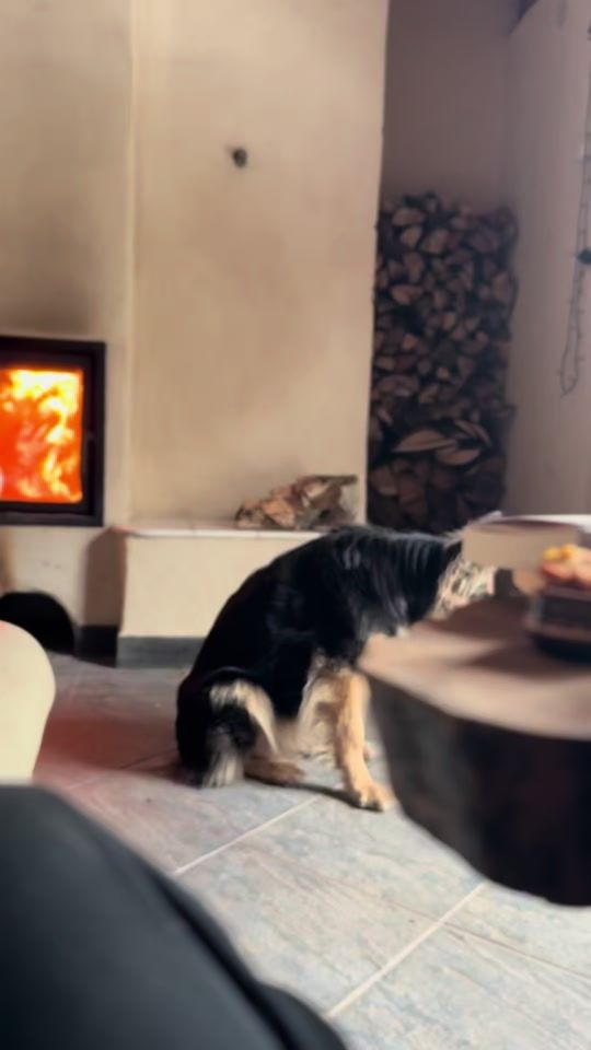 TikTok video thumbnail by domsloncaiowcy