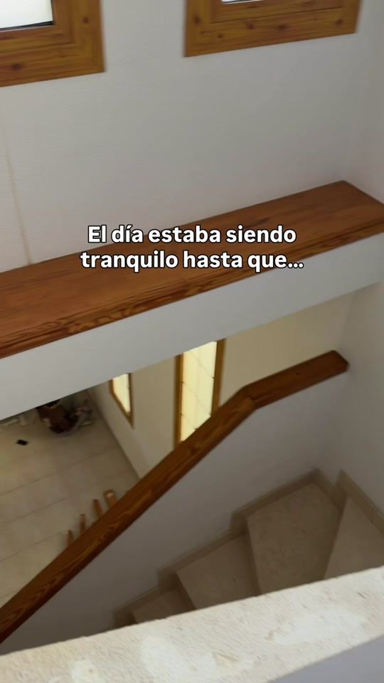 TikTok video thumbnail by javimaska