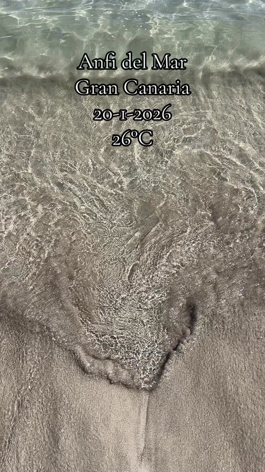 TikTok video thumbnail by ramonsessi