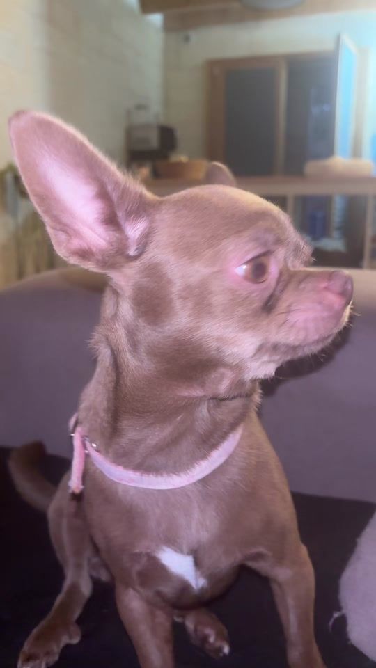 TikTok video thumbnail by aroafernandez01