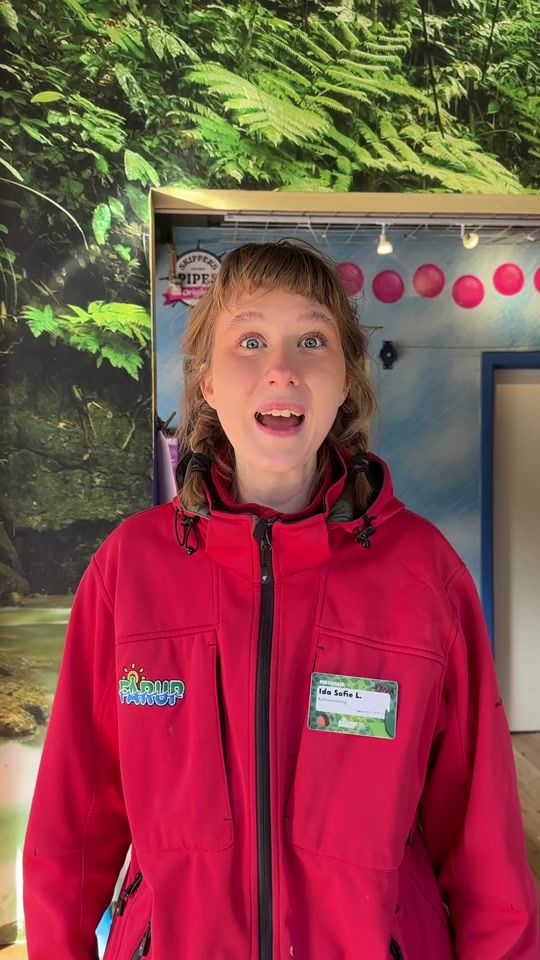 TikTok video thumbnail by faarupsommerland