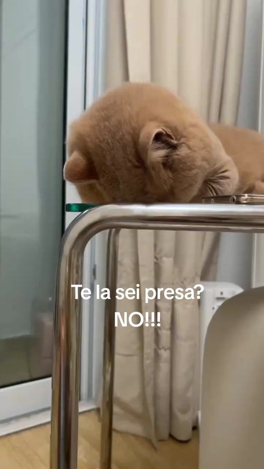 TikTok video thumbnail by yettastyle_2022