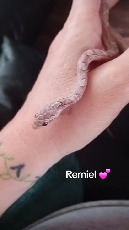 TikTok video thumbnail by samanthajagodic